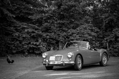 8K4A1624