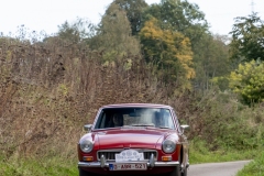 MGL2996