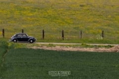 MGL1506