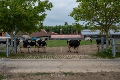 OCKB_Lenterit_11052025-103
