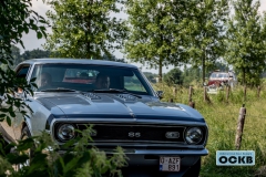 NMA_7028