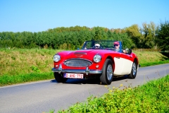 herfstrit_061_OLD6213