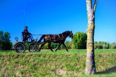 herfstrit_099_OLD6260