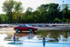 herfstrit_128_OLD6311