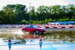 herfstrit_129_OLD6313