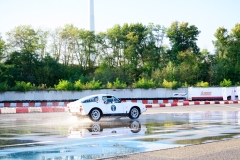 herfstrit_190_OLD6453