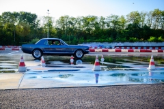 herfstrit_192_OLD6457
