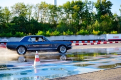 herfstrit_193_OLD6458