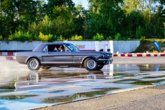 herfstrit_194_OLD6459
