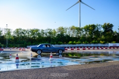 herfstrit_196_OLD6465