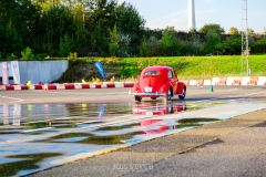 herfstrit_206_OLD6510
