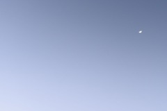DSC4419